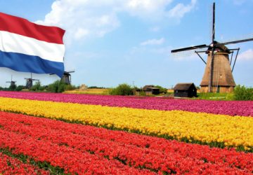 Thủ tục xin visa Hà Lan
