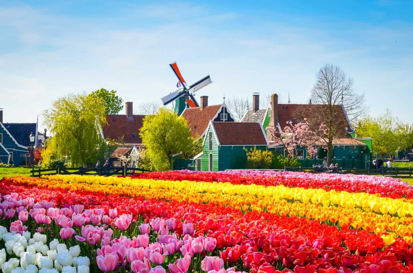 Lễ hội hoa Keukenhof